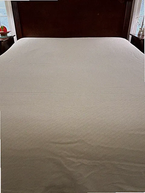Madison Park Woven 100% Cotton Bed Blanket - QUEEN- Ivory Cream-New